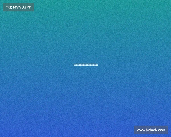 《无声战场：视障玩家的逆光之战》》