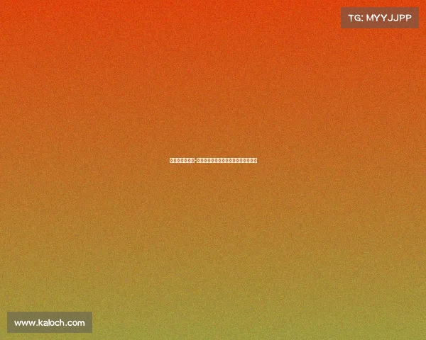 婚纱照电子竞技-《爱的战场：从虚拟峡谷到婚姻殿堂》